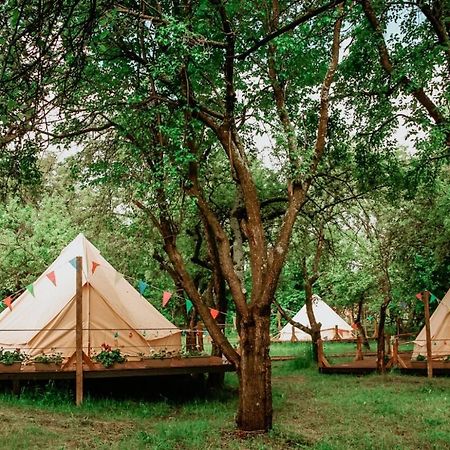 My Lake Glamping Dalnic Dış mekan fotoğraf