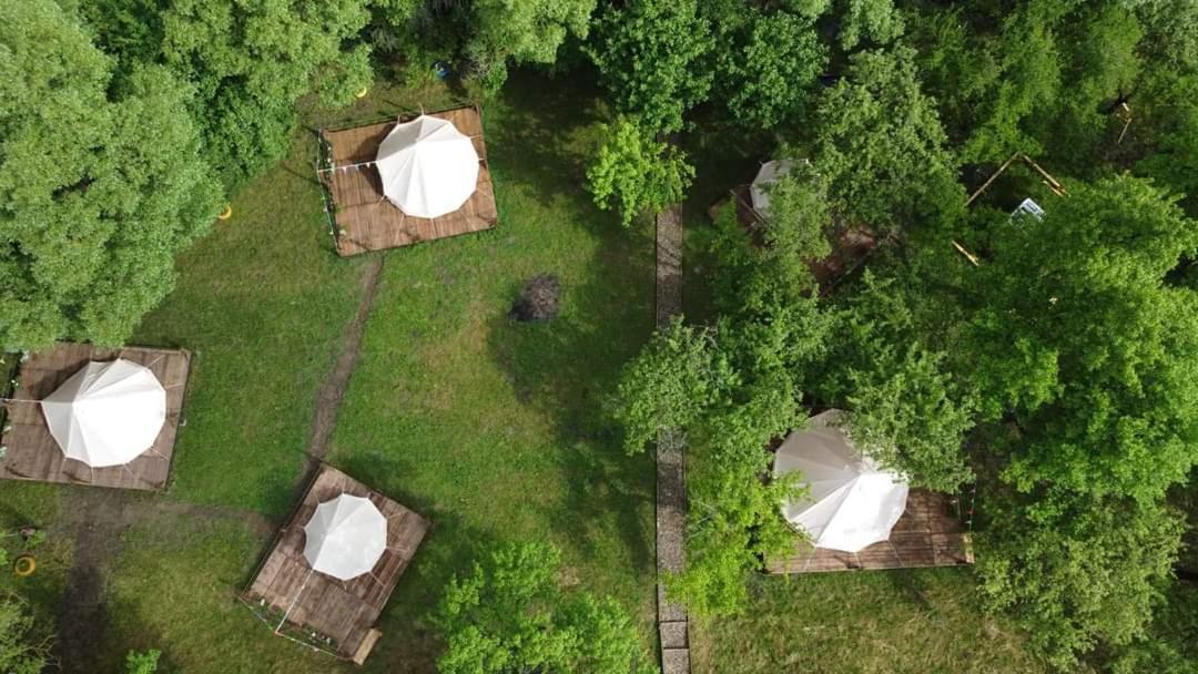 My Lake Glamping Dalnic Dış mekan fotoğraf