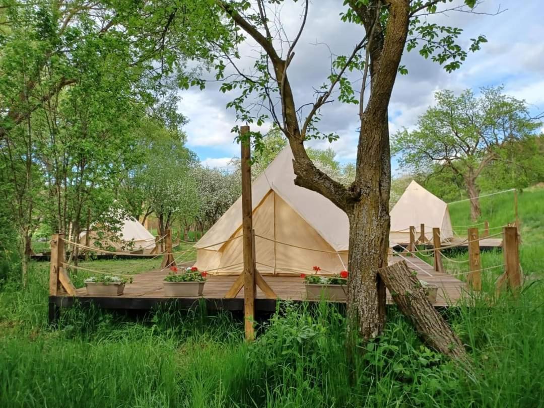 My Lake Glamping Dalnic Dış mekan fotoğraf