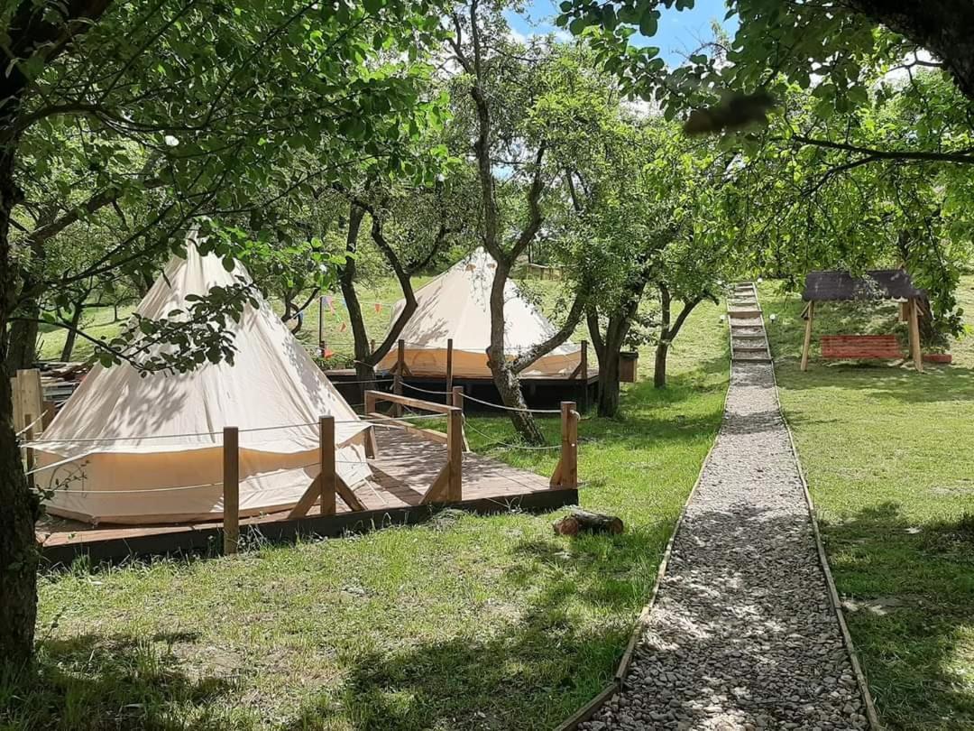 My Lake Glamping Dalnic Dış mekan fotoğraf