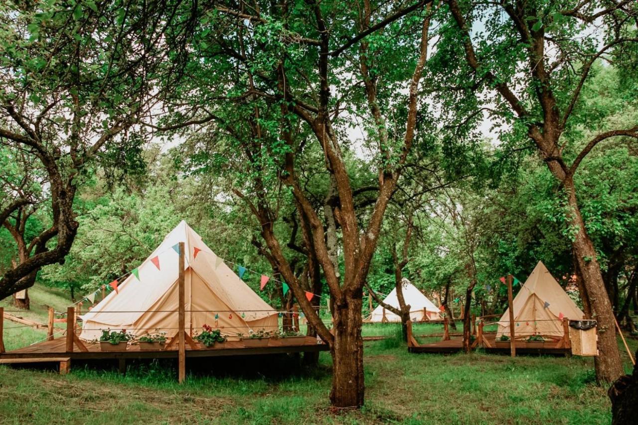 My Lake Glamping Dalnic Dış mekan fotoğraf