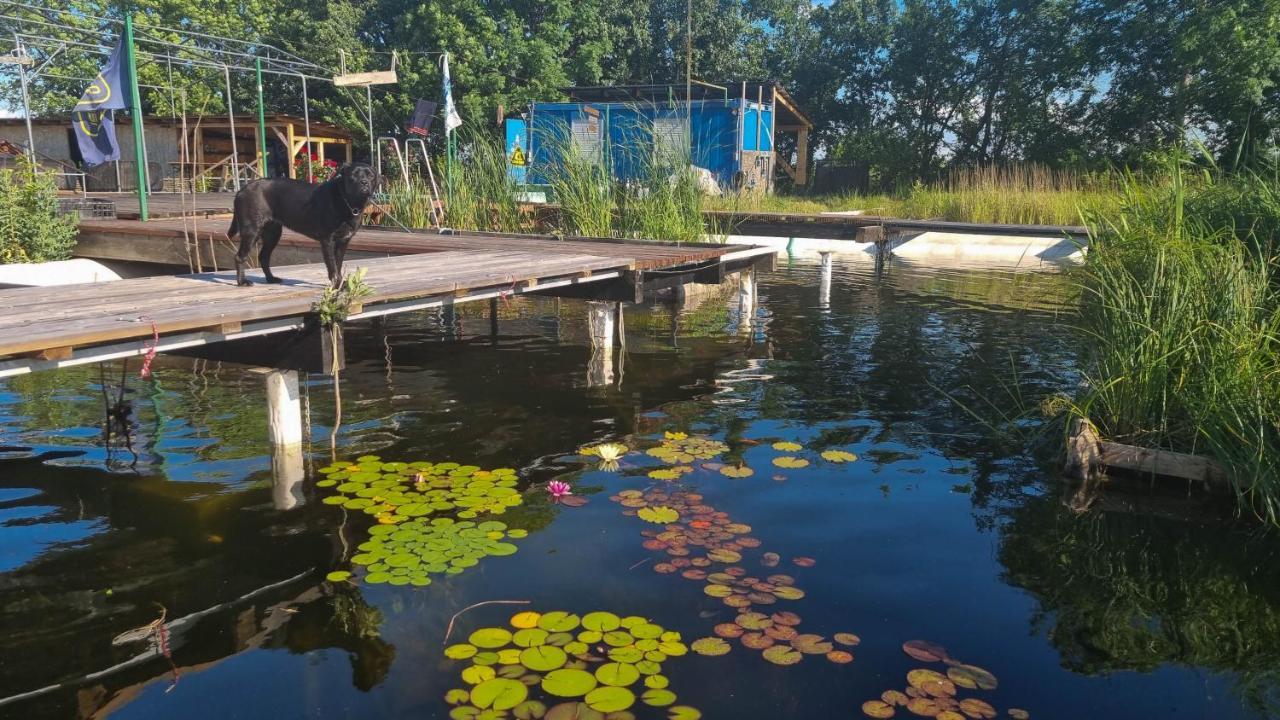 My Lake Glamping Dalnic Dış mekan fotoğraf