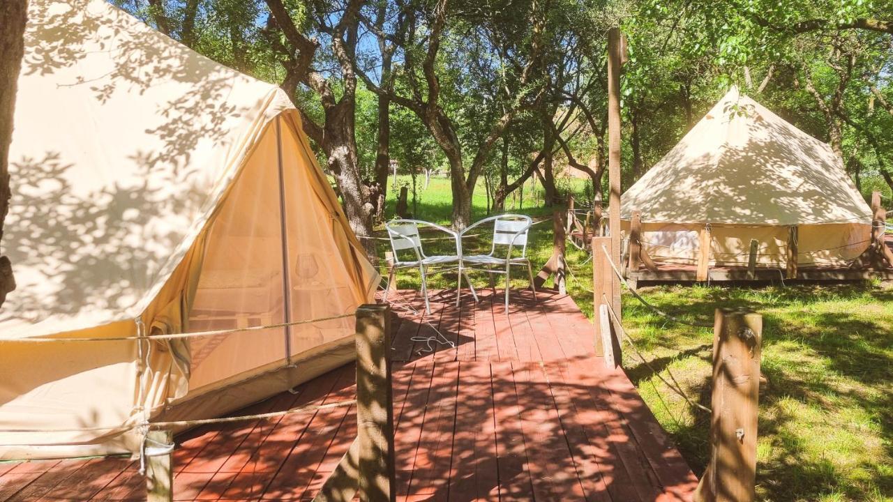 My Lake Glamping Dalnic Dış mekan fotoğraf