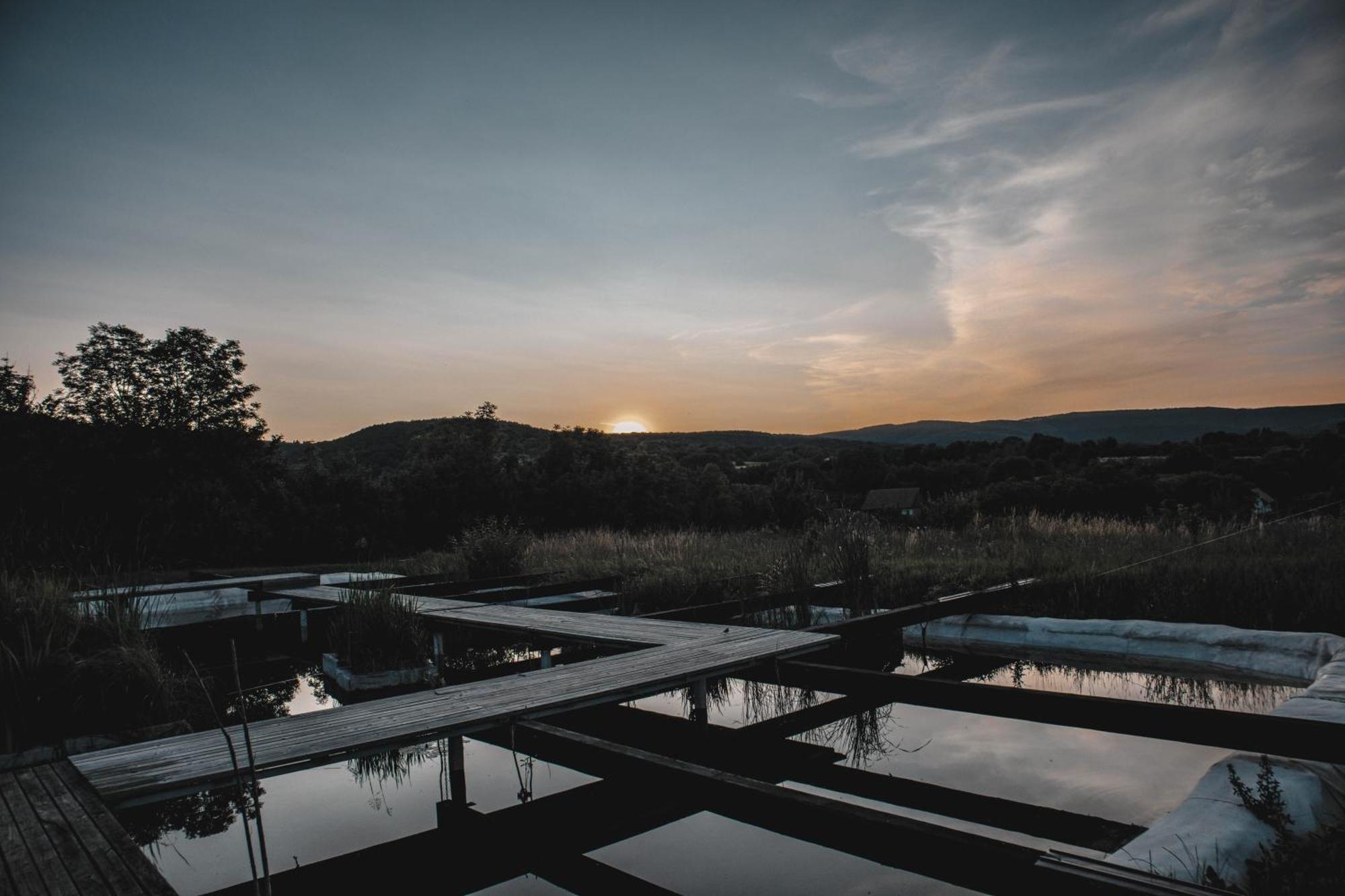 My Lake Glamping Dalnic Dış mekan fotoğraf