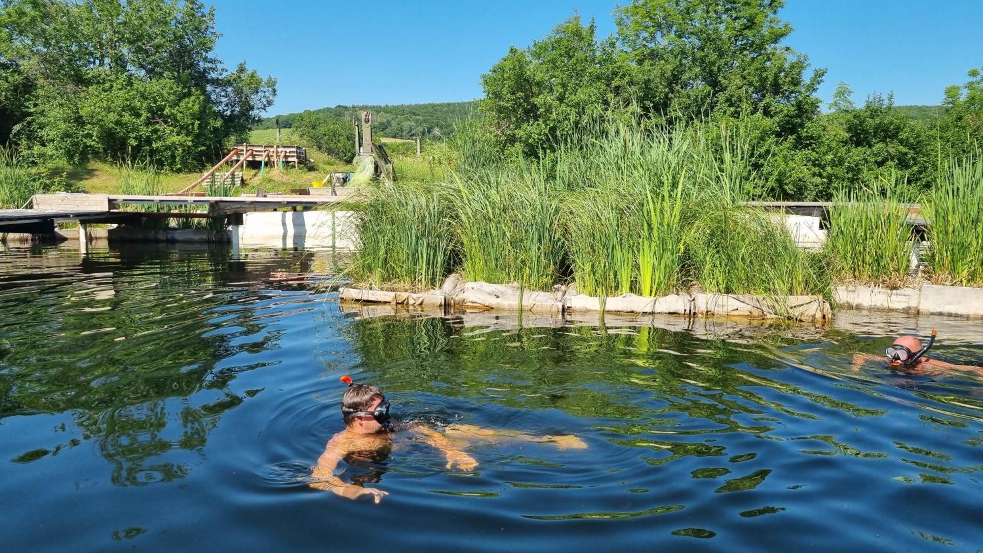 My Lake Glamping Dalnic Dış mekan fotoğraf