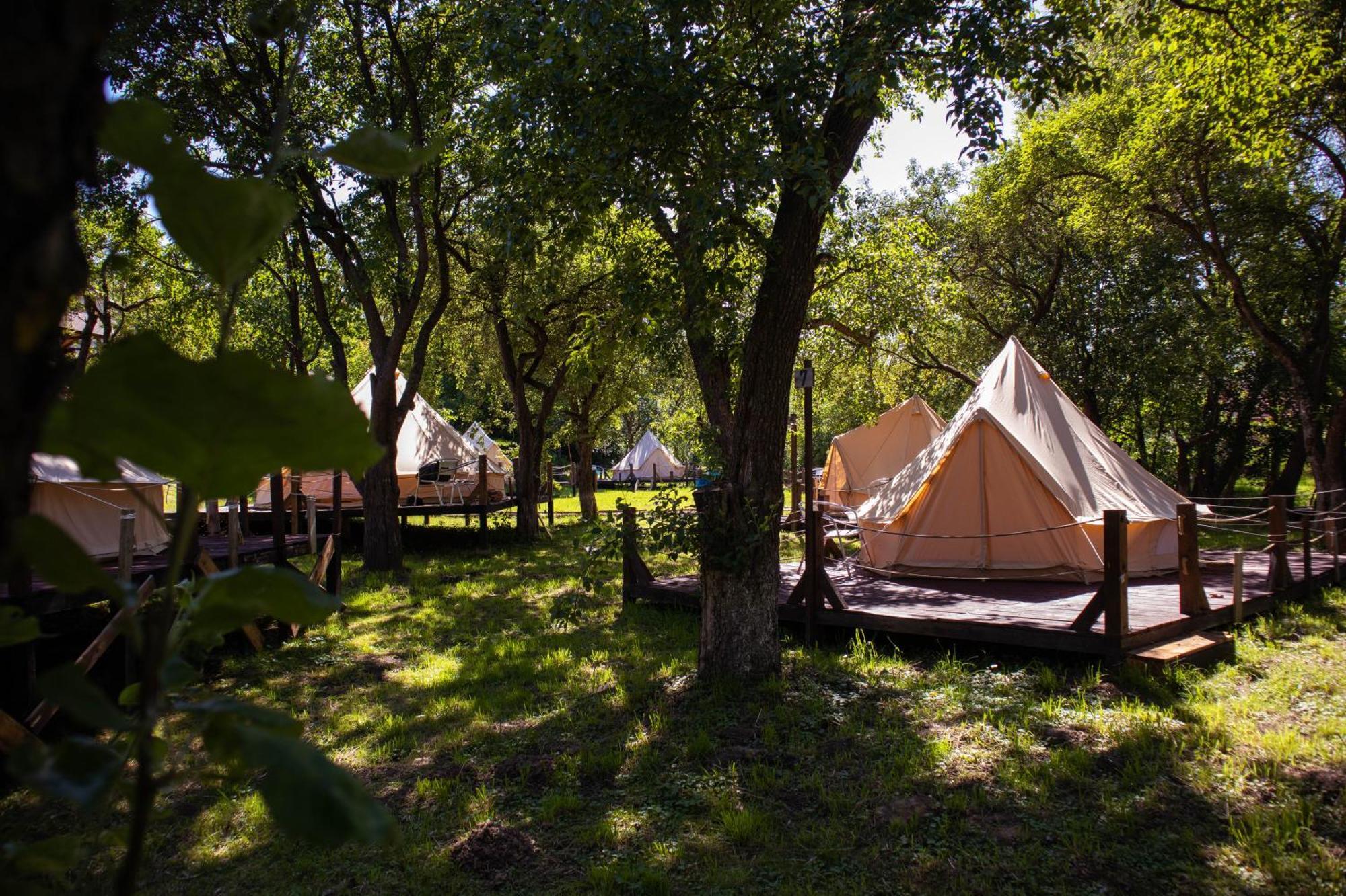 My Lake Glamping Dalnic Dış mekan fotoğraf