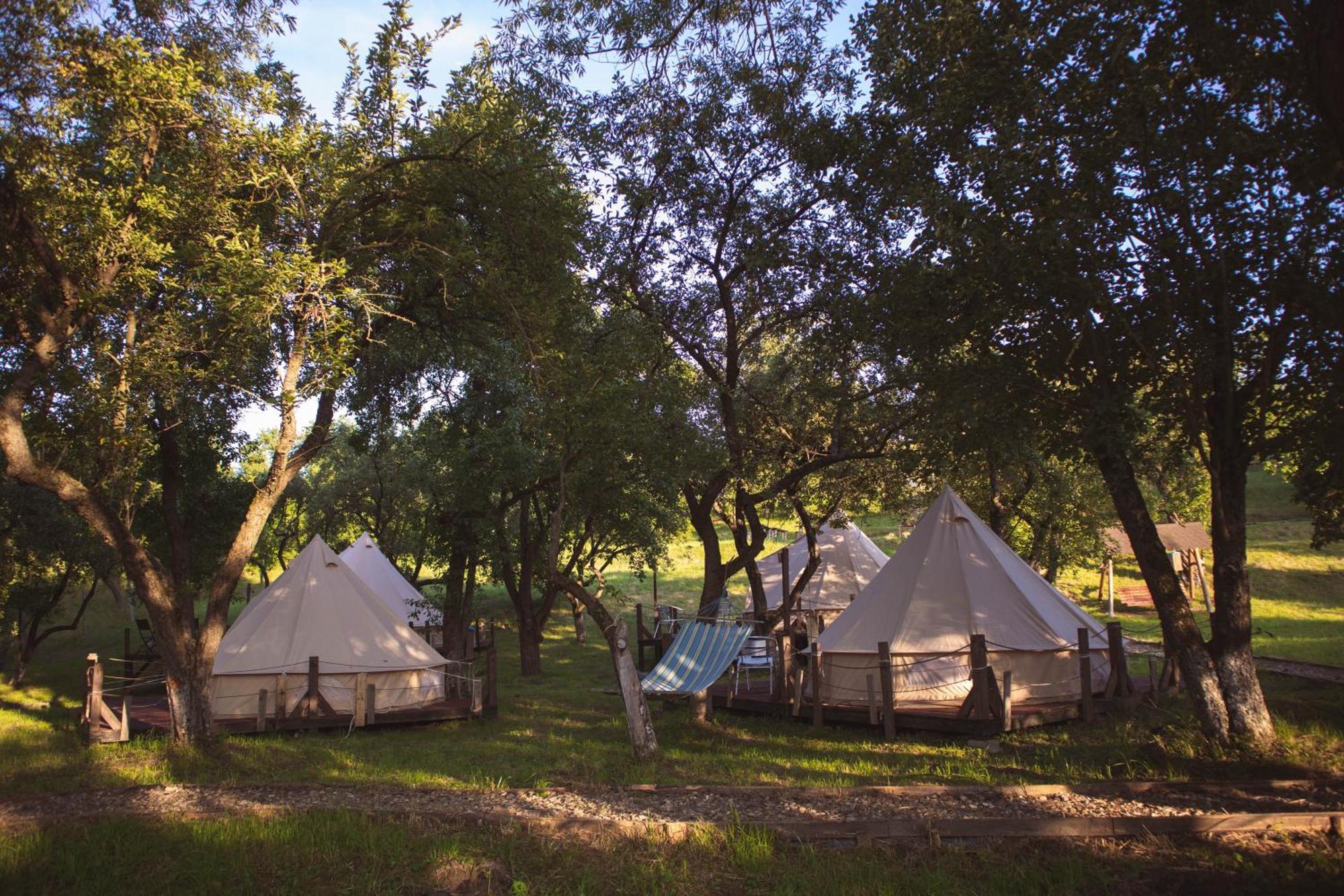 My Lake Glamping Dalnic Dış mekan fotoğraf