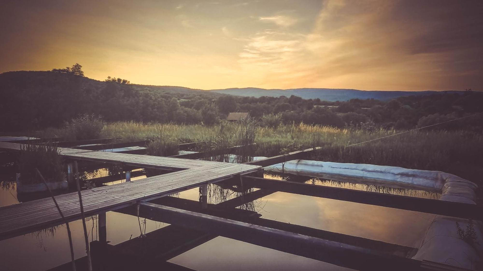 My Lake Glamping Dalnic Dış mekan fotoğraf