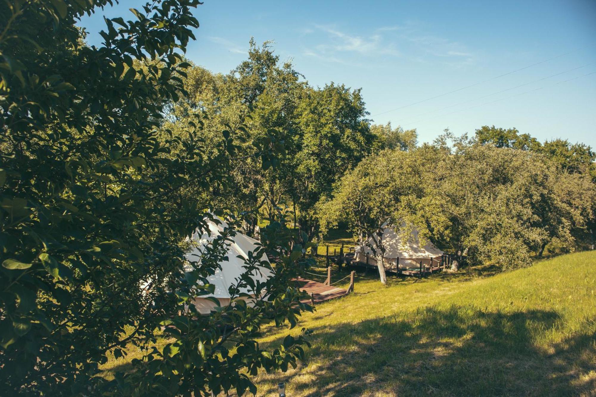 My Lake Glamping Dalnic Dış mekan fotoğraf