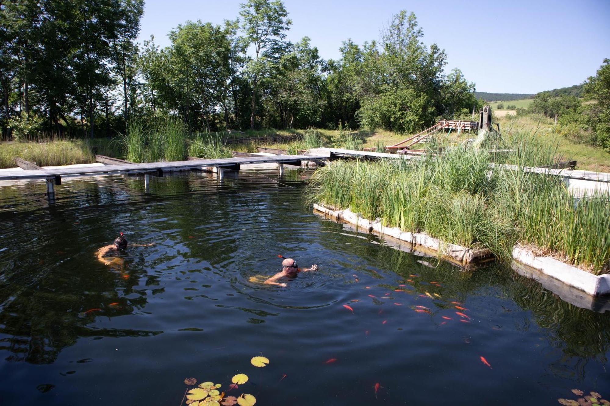 My Lake Glamping Dalnic Dış mekan fotoğraf