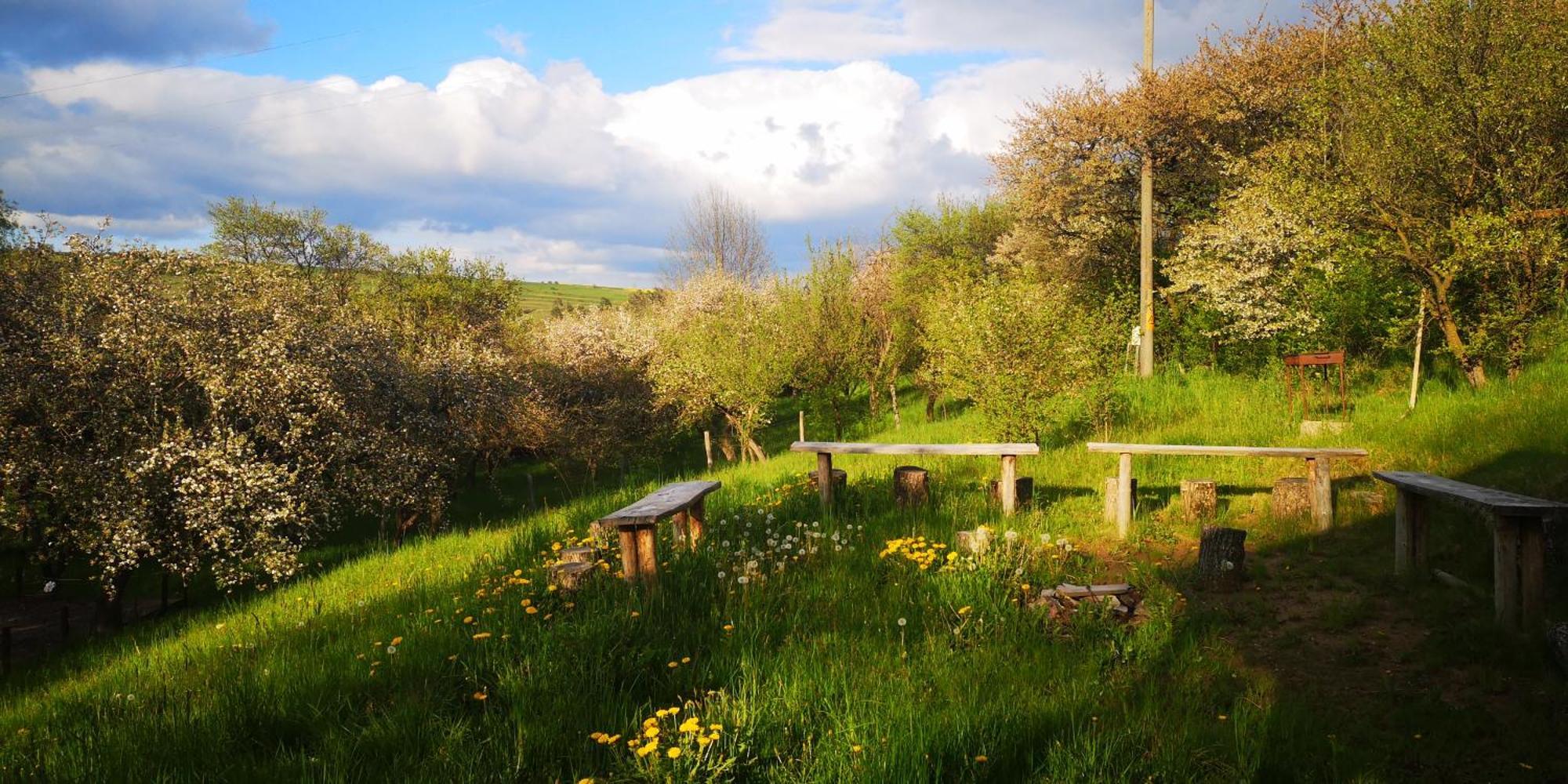My Lake Glamping Dalnic Dış mekan fotoğraf