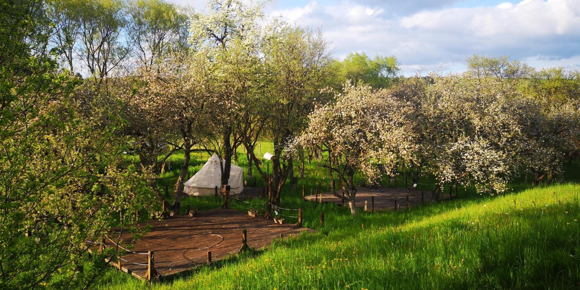 My Lake Glamping Dalnic Dış mekan fotoğraf